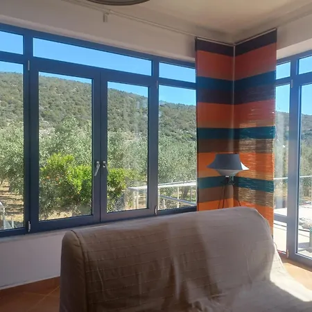 Hotel Traditional House Near 3*